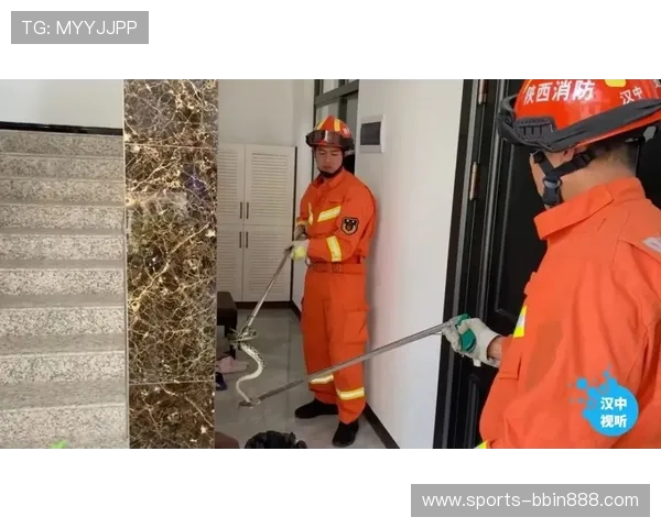 BBIN电游官网安全保障措施详解确保玩家资金与信息安全 BBIN电游官网安全保障措施详解确保玩家资金与信息安全