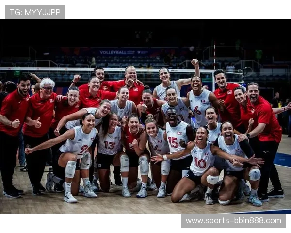 bbin新体育网址2024年最新版本，畅享高清体育赛事观看体验