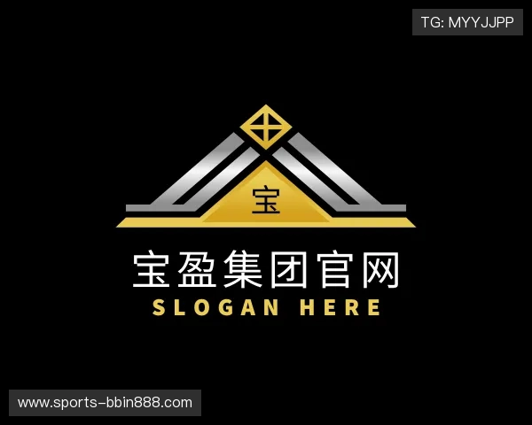 介绍宝盈集团官网